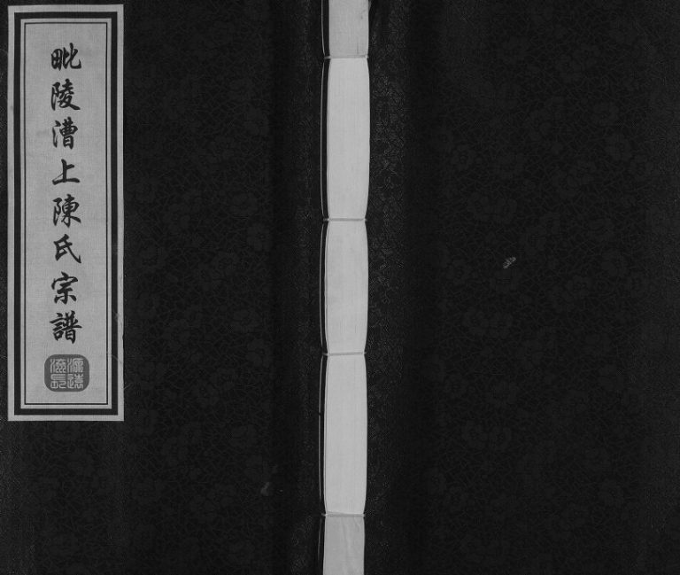 2012年八修毗陵漕上陈氏宗谱[16卷]江苏常州星聚堂陈姓电子版族谱下载