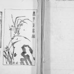2000年修徙苏盐城陈氏宗谱 江苏颖川堂陈姓电子版族谱下载