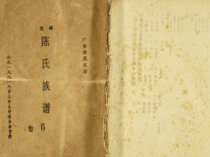 1991年修广东省茂名市文林陈氏族谱[17卷首1卷]陈姓电子版家谱下载