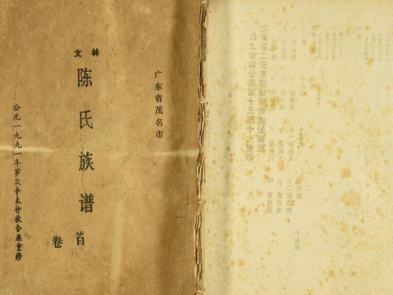 1991年修广东省茂名市文林陈氏族谱[17卷首1卷]陈姓电子版家谱下载