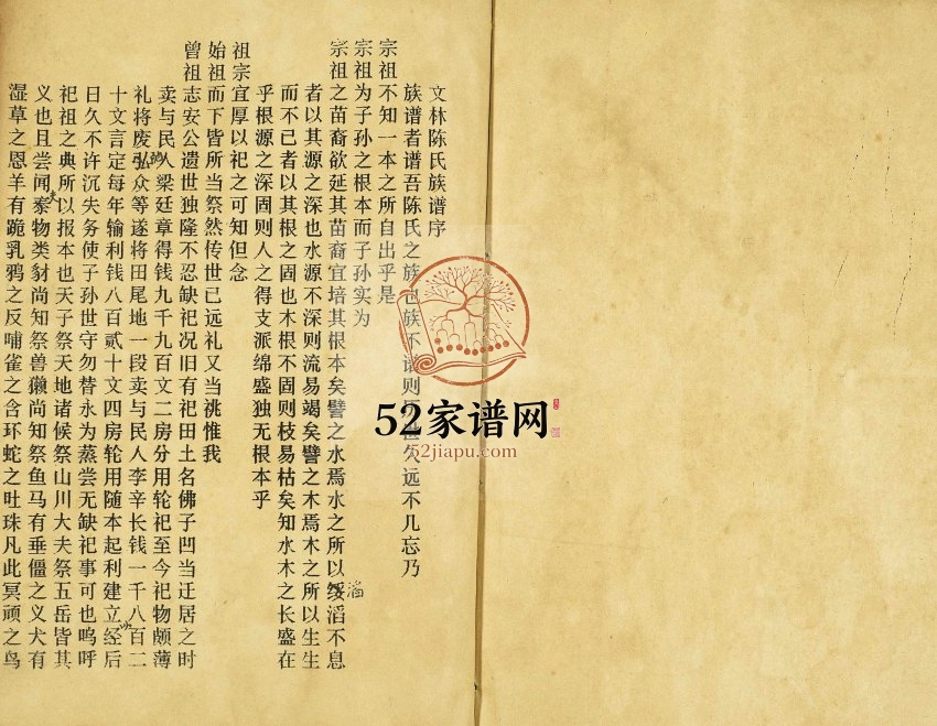 1991年修广东省茂名市文林陈氏族谱[17卷首1卷]陈姓电子版家谱下载