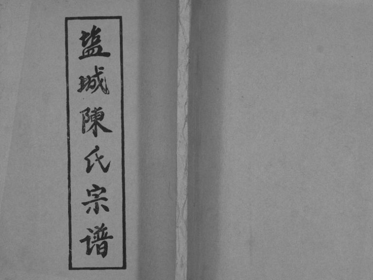 1990年五修盐城陈氏宗谱 江苏颖川堂陈姓电子版族谱下载