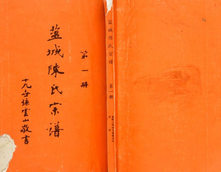 1995年修盐城陈氏宗谱[6卷首1卷]江苏颍川堂陈姓电子版族谱下载