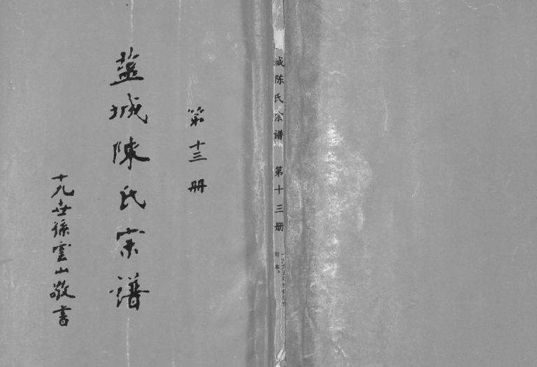 1998年修盐城陈氏文杰公系宗谱 江苏颖川堂陈姓电子版族谱下载