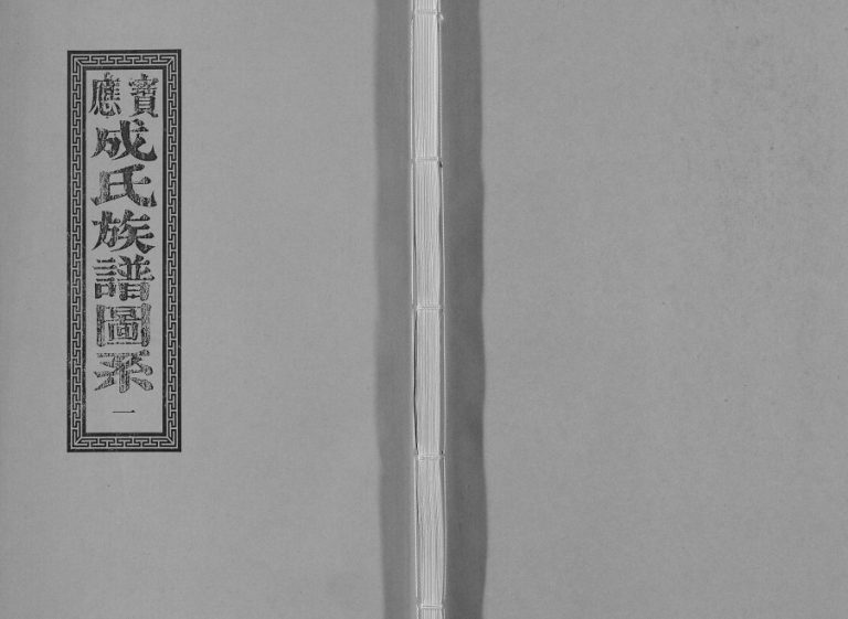 1991年重修宝应成氏族谱[8卷]江苏成姓电子版家谱下载