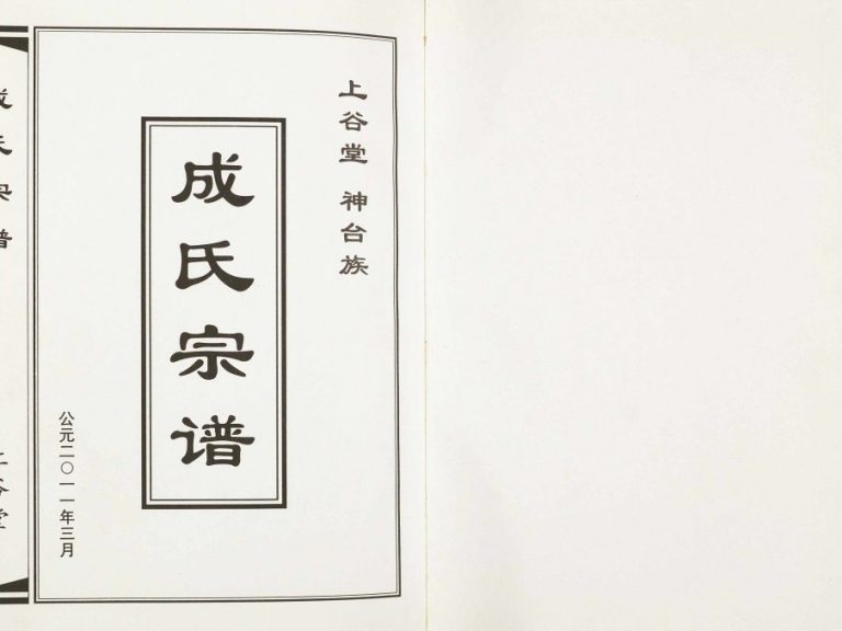 2011年修上谷堂神台族成氏宗谱 江苏盐城成姓电子版族谱下载