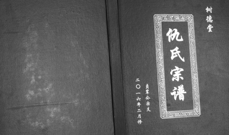 2016年二修树德堂仇氏宗谱贞辈公宗支 江苏建湖仇姓电子版族谱下载