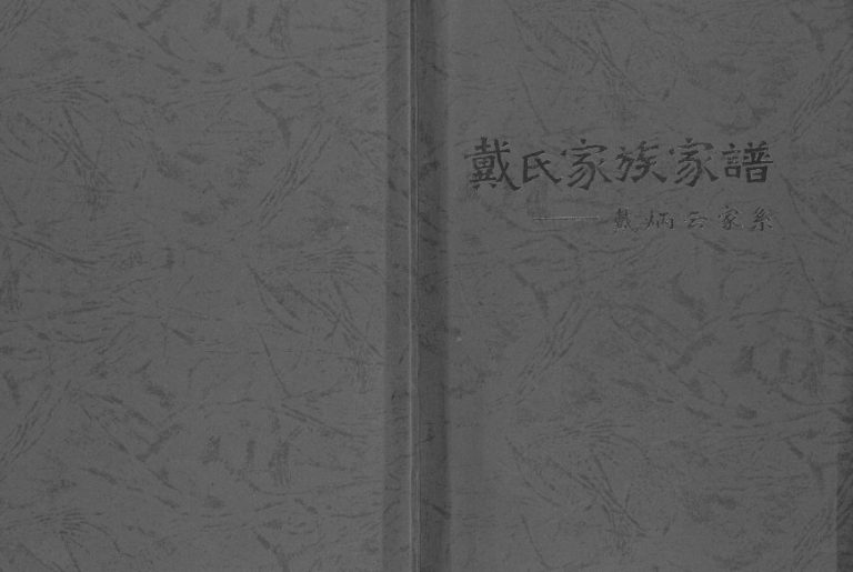 2000年修戴氏家族家谱.戴炳云家系 江苏姜堰戴姓电子版族谱下载