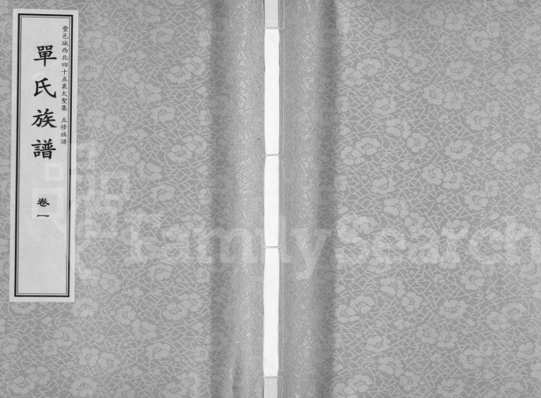 2014年忠孝堂单氏五修族谱丰县城北四十五里大圣集宗支[3卷]江苏单姓电子版家谱下载