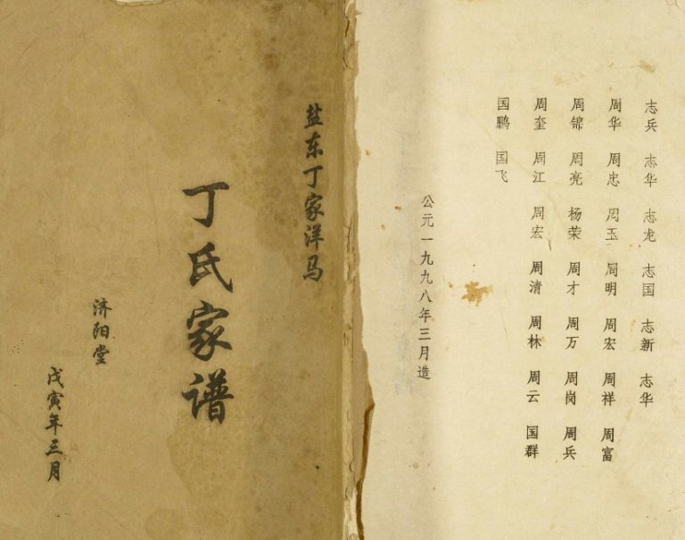 1998年修盐东丁家洋马丁氏家谱 江苏射阳济阳堂丁姓电子版族谱下载