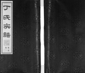 2014年修华圻丁氏宗谱[25卷首1卷]江苏无锡敦伦堂丁姓电子版族谱下载