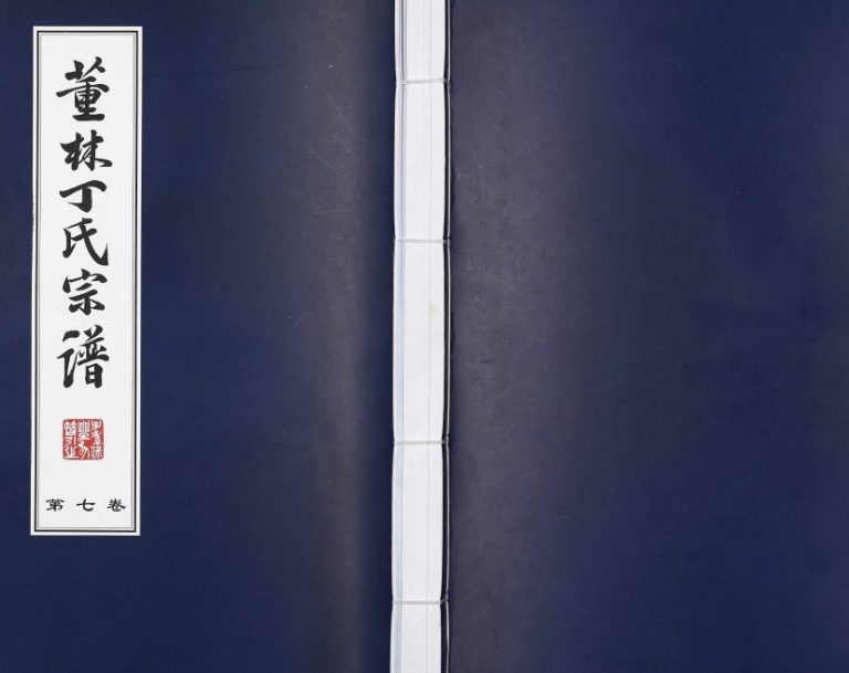 2007年修董林丁氏宗谱萧田分 江苏武进双桂堂丁姓电子版族谱下载