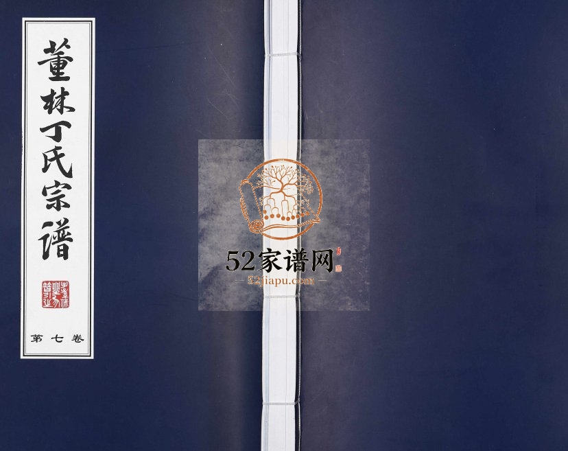 2007年修董林丁氏宗谱萧田分 江苏武进双桂堂丁姓电子版族谱下载