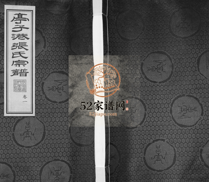 2014年修亭子港张氏宗谱[33卷]江苏江阴草圣堂张姓电子版族谱下载