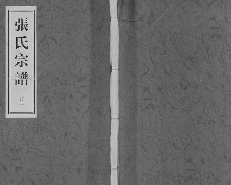 1916年修张氏世谱 江苏常州世恩堂张姓电子版族谱下载