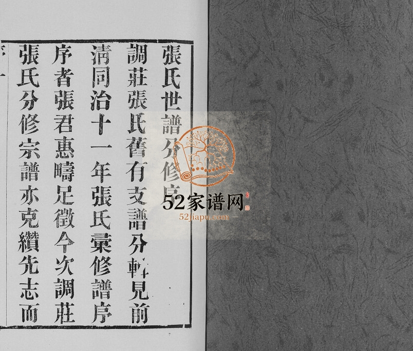 1916年修张氏世谱 江苏常州世恩堂张姓电子版族谱下载