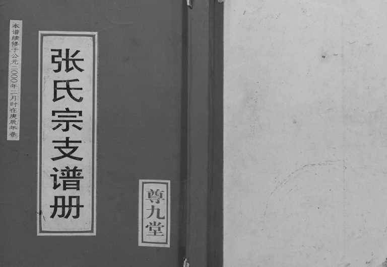 2000年修张氏宗支谱册 江苏盐城尊九堂张姓电子版族谱下载