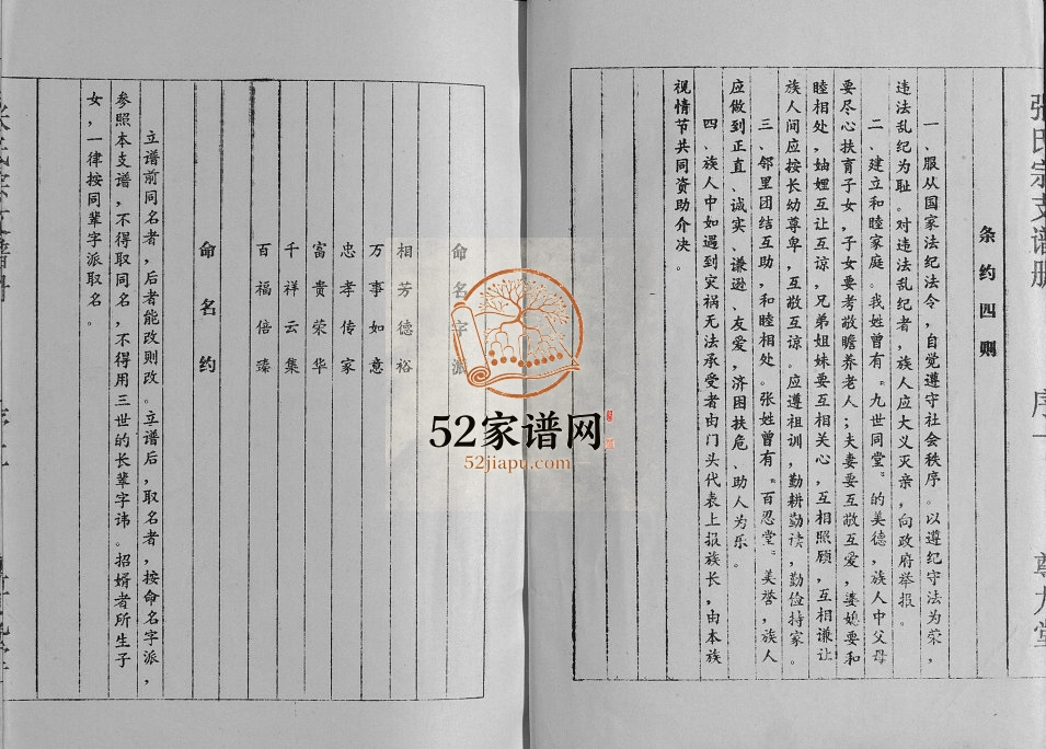2000年修张氏宗支谱册 江苏盐城尊九堂张姓电子版族谱下载