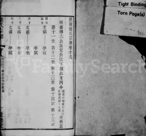 张氏宗谱 江苏敦睦堂怀远堂张姓电子版族谱下载