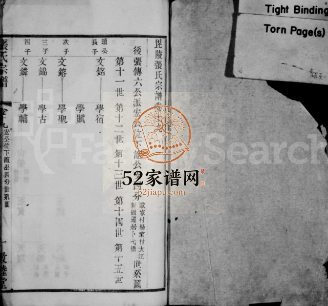 张氏宗谱 江苏敦睦堂怀远堂张姓电子版族谱下载