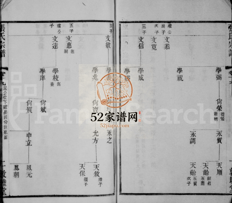张氏宗谱 江苏敦睦堂怀远堂张姓电子版族谱下载