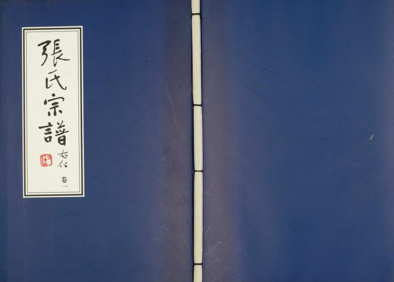 2004年四修武进横山百忍堂张氏宗谱 江苏张姓电子版族谱下载