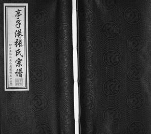 2012年修亭子港张氏宗谱四房孟容公金公慈航桥支 江苏江阴草圣堂张姓电子版族谱下载
