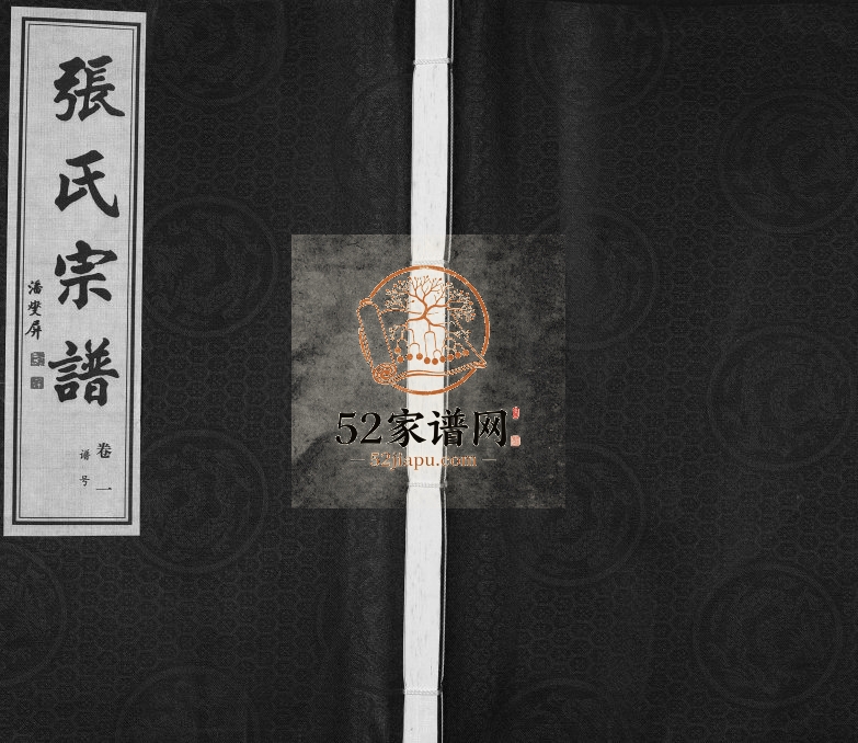 2009年修武进后圻张氏宗谱[5卷]江苏常州遥观上湾张家塘百忍堂张姓电子版族谱下载