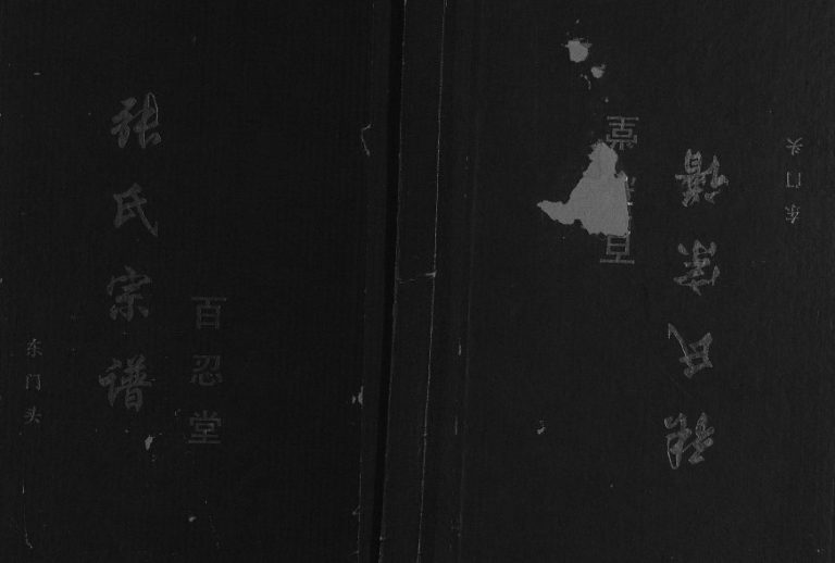 2003年修张氏宗谱东门头[不分卷]江苏建湖百忍堂张姓电子版族谱下载