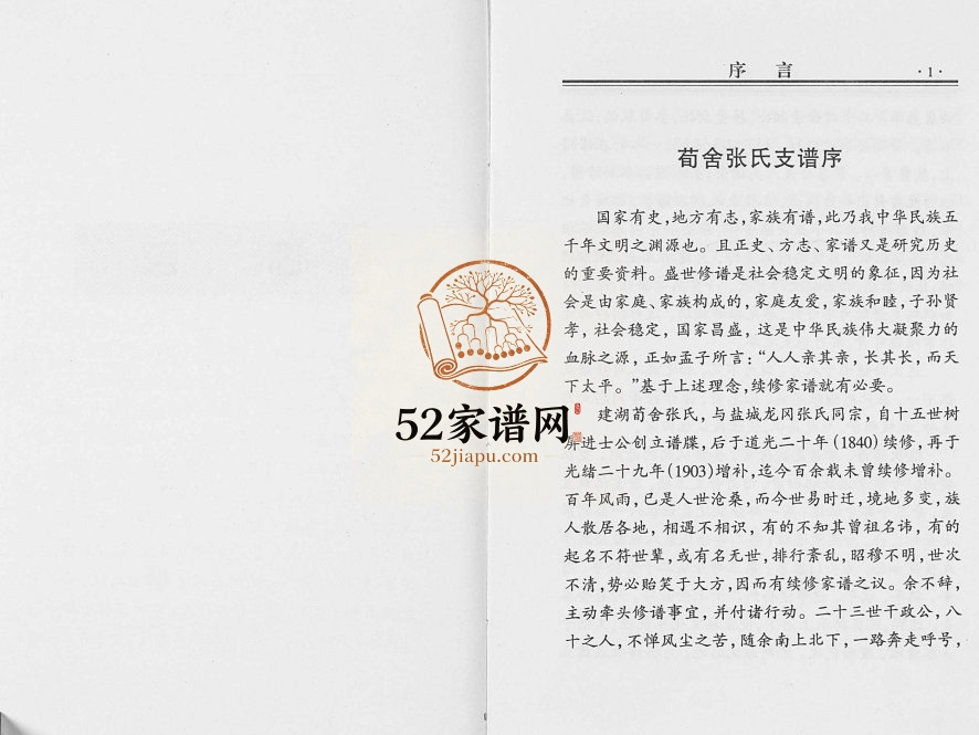 2005年修张氏宗谱荀舍支谱 江苏盐城 建湖 无锡百忍堂张姓电子版族谱下载