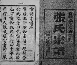 1911年修张氏族谱[6卷]江苏镇江张姓电子版家谱下载