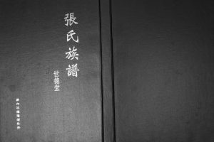 2013年修张氏东词宗谱[8卷首1卷]江苏如皋张姓电子版族谱下载