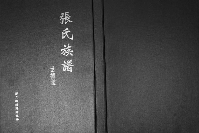 2013年修张氏东词宗谱[8卷首1卷]江苏如皋张姓电子版族谱下载