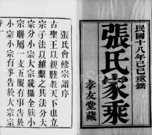 1929年修暨阳张氏会谱[14卷]江苏江阴孝友堂张姓电子版族谱下载