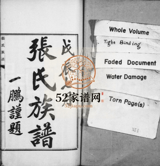 1928年修张氏族谱 江苏吴江 上海着易堂张姓电子版家谱下载