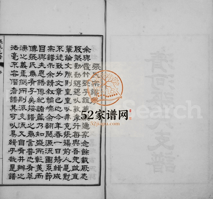 1917年修清河张氏支谱 江苏常熟张姓电子版族谱下载