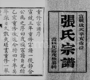 1911年修润州开沙张氏族谱[12卷]江苏镇江张姓电子版家谱下载