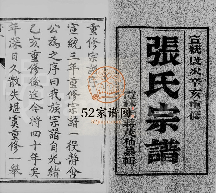 1911年修润州开沙张氏族谱[12卷]江苏镇江张姓电子版家谱下载