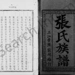 1885年修维扬江都张氏族谱[8卷卷首末各1卷]江苏敦善堂张姓电子版家谱下载