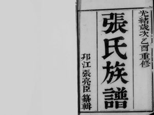 1885年十四修维扬江都张氏族谱[6卷]江苏金鉴堂张姓电子版家谱下载