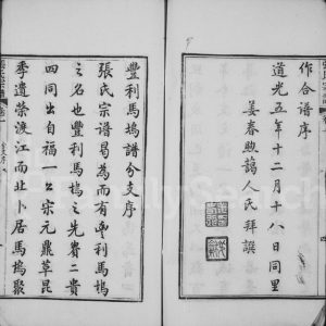 1828年修如皋东马坞庄张氏宗谱[20卷]江苏禄宜堂张姓电子版族谱下载
