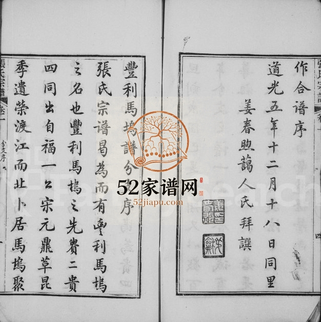 1828年修如皋东马坞庄张氏宗谱[20卷]江苏禄宜堂张姓电子版族谱下载