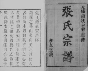 1889年修张氏宗谱[12卷]江苏无锡 常熟孝友堂张姓电子版族谱下载
