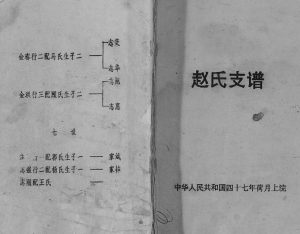 1995年修赵氏支谱[不分卷]江苏阜宁半部堂赵姓电子版族谱下载