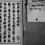 1926年修如皋白蒲郑氏族谱[14卷卷首末各1卷]江苏郑姓电子版家谱下载
