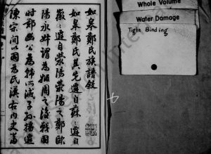 1926年修如皋白蒲郑氏族谱[14卷卷首末各1卷]江苏郑姓电子版家谱下载