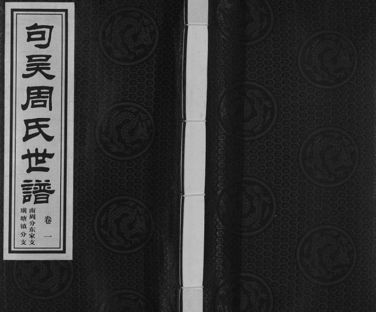 2010年句吴周氏世谱南周分东家支璜塘分支续修[2卷]江苏江阴至德堂周姓电子版族谱下载