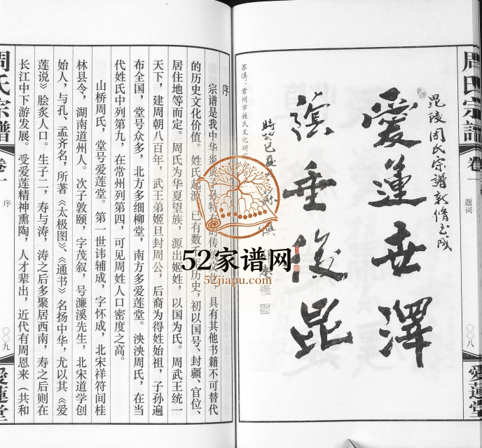 2011年修山桥周氏宗谱[42卷]江苏武进爱莲堂周姓电子版族谱下载
