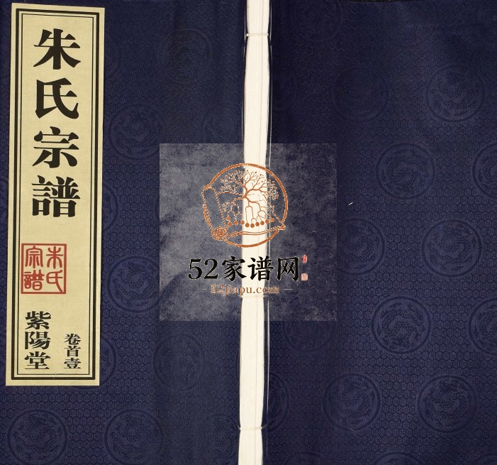 2010年修江苏常州长沟村朱氏宗谱[14卷首2卷]武进紫阳堂朱姓电子版族谱下载