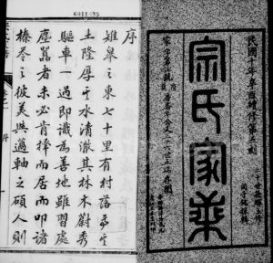 1921年修如皋宗氏家谱[20卷]江苏宗姓电子版族谱下载